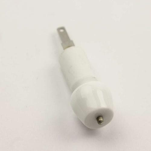 SD318148700 318148700-ap2128925-top-burner-ignitor