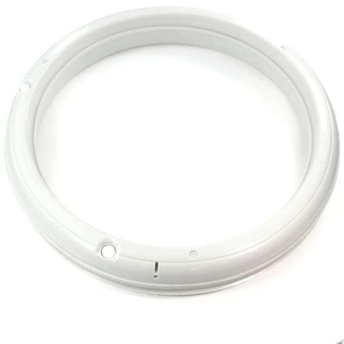 SDWH45X10098 wh45x10098-washer-balance-assembly